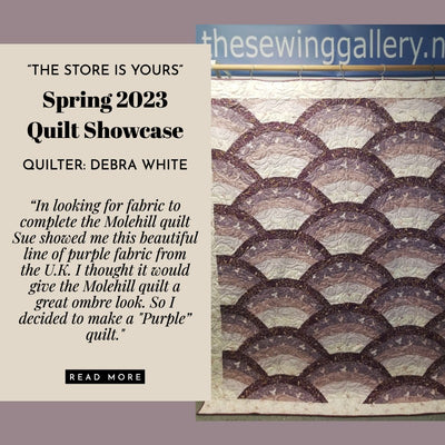 "The Store is Yours" Spring 2023 Quilt Showcase - Debra White