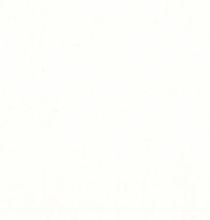 Bella Solids Porcelain 9900 182