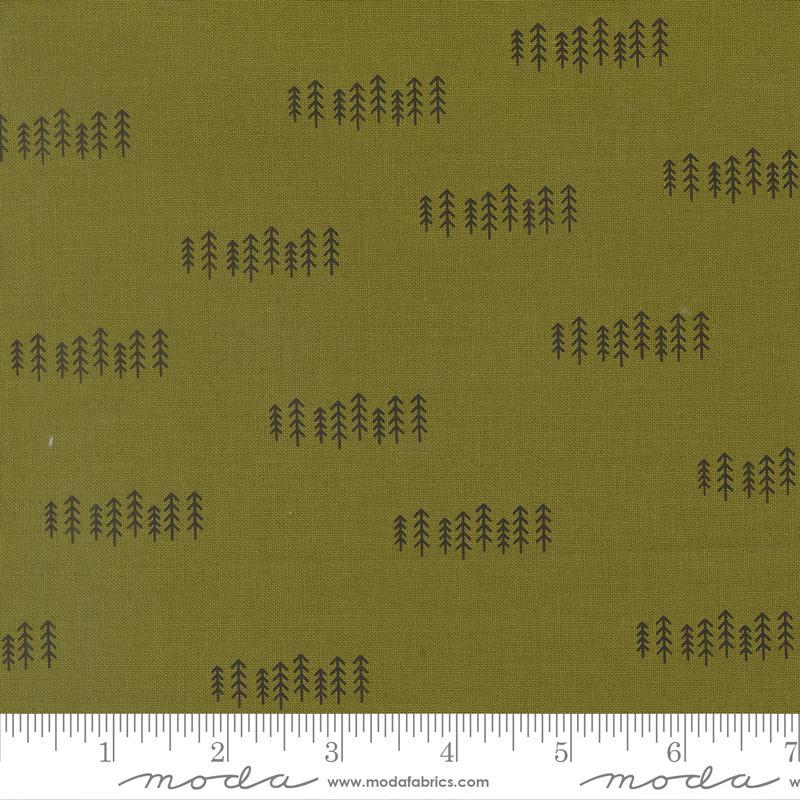 Chilly - The Forest in Pine