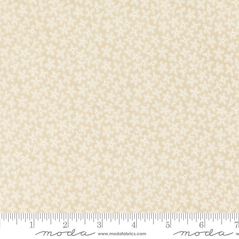 KT Favorites Background Dandelion Toadflax Flowers 9777 21