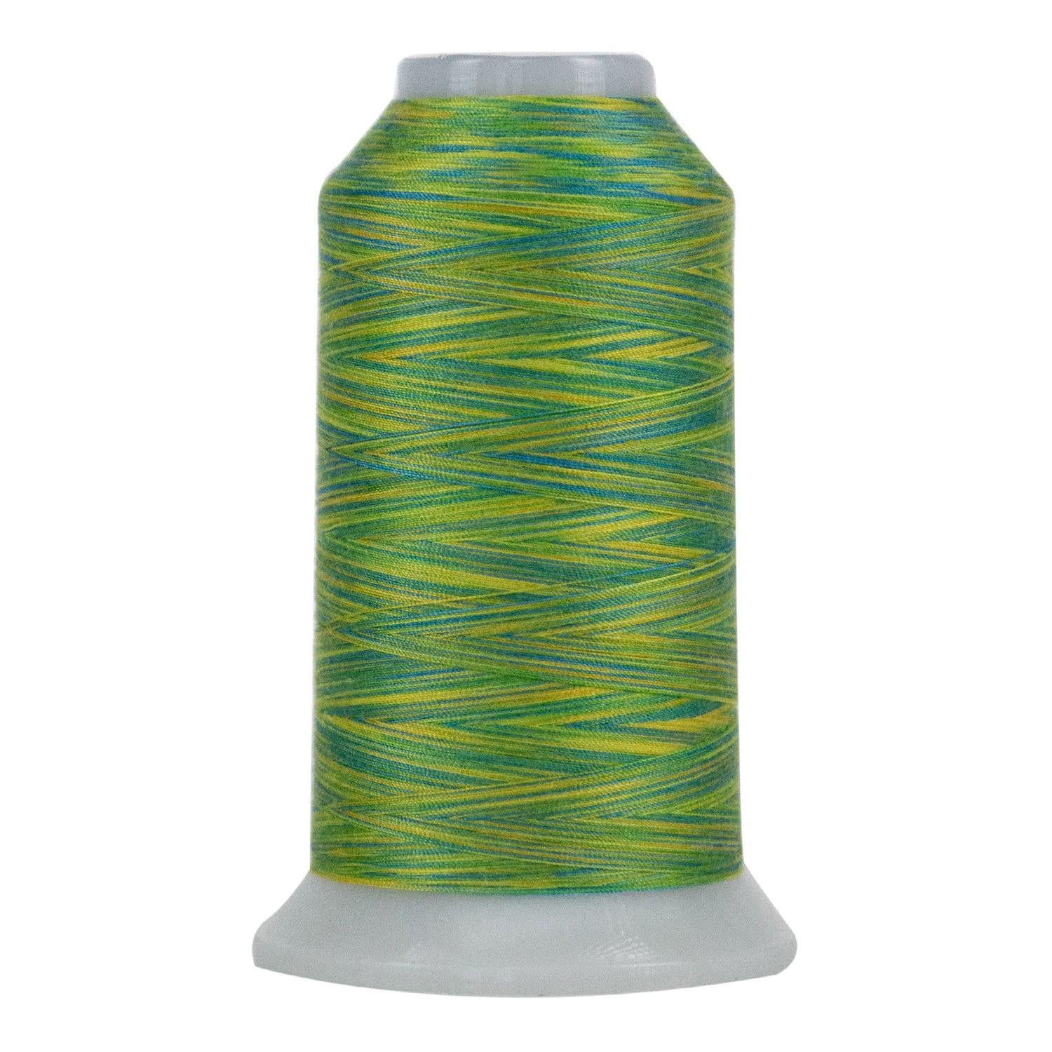 Omni Variegated Polyester Thread 40wt 2000yd Summer Days – The Sewing ...