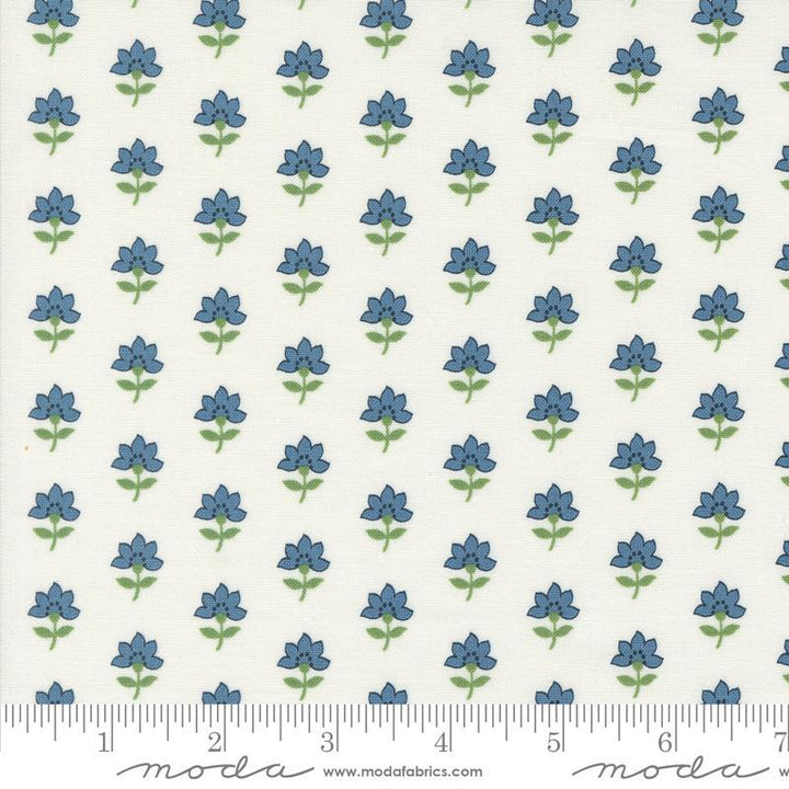 Shoreline Coastal Floral in Cream Multi