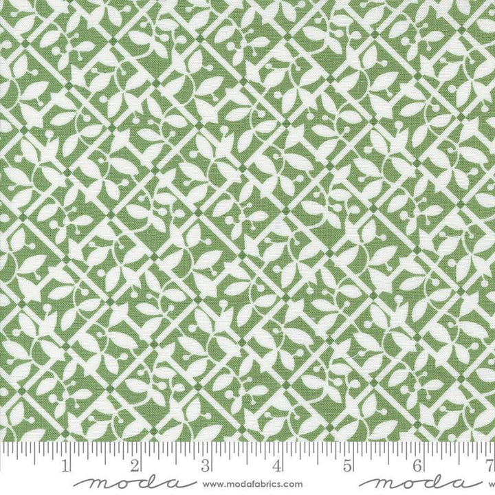 Shoreline Lattice Floral in Green