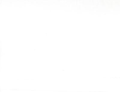 108" 200 Count Muslin Warm White 9954 11 Backing