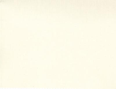 110" 200 Count Muslin Natural 9954 12 Moda