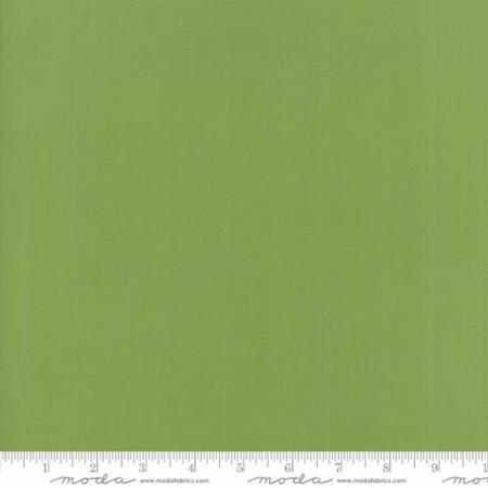 Bella Solids Fern