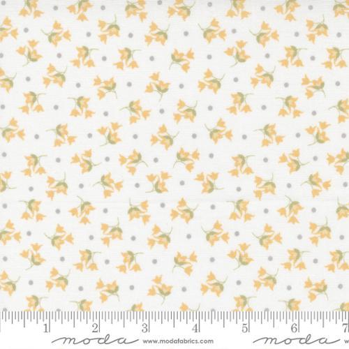 Buttercup Slate Cloud Tulip