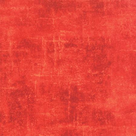 Concrete Texture Mango