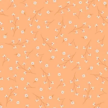 Orange Pretty Petals